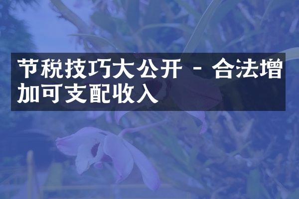 节税技巧大公开 - 合法增加可支配收入