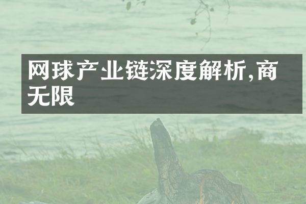 网球产业链深度解析,商机无限