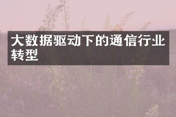 大数据驱动下的通信行业转型