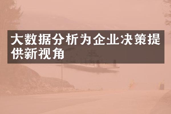 大数据分析为企业决策提供新视角