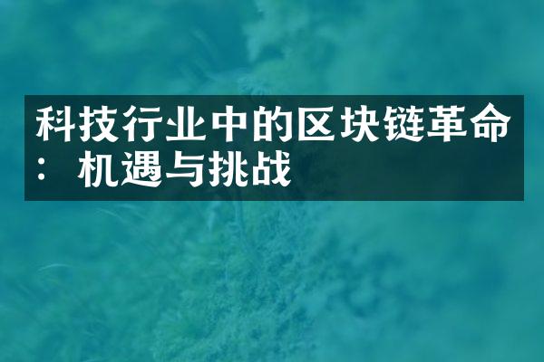 科技行业中的区块链：机遇与挑战