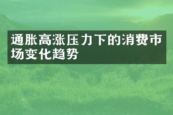 通胀高涨压力下的消费市场变化趋势