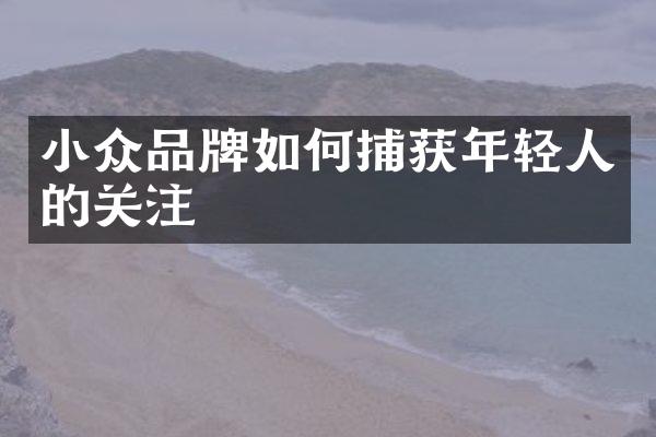 小众品牌如何捕获年轻人的关注