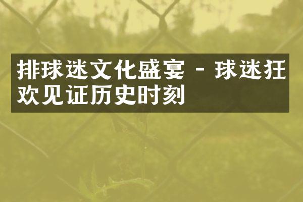 排球迷文化盛宴 - 球迷狂欢见证历史时刻