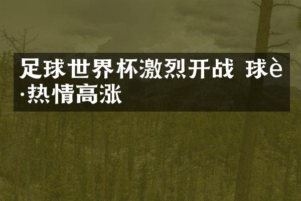 足球世界杯激烈开战 球迷热情高涨