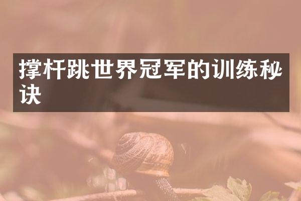 撑杆跳世界冠军的训练秘诀