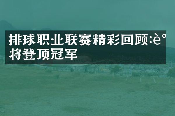 排球职业联赛精彩回顾:谁将登顶冠军