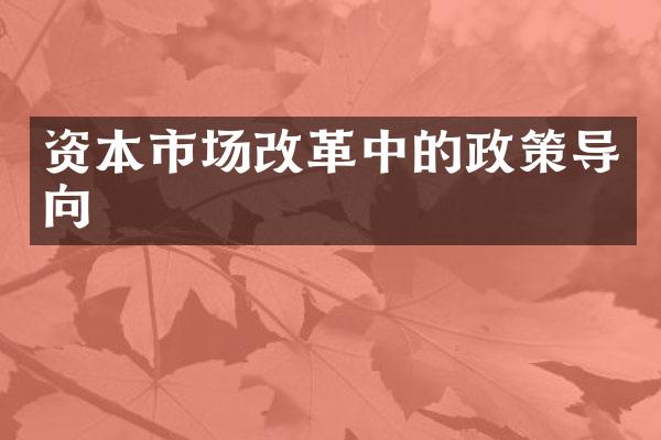 资本市场改革中的政策导向