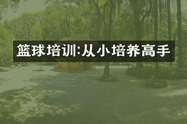 篮球培训:从小培养高手