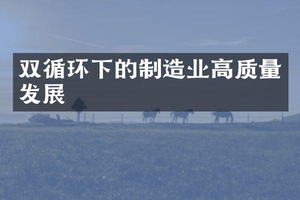 双循环下的制造业高质量发展