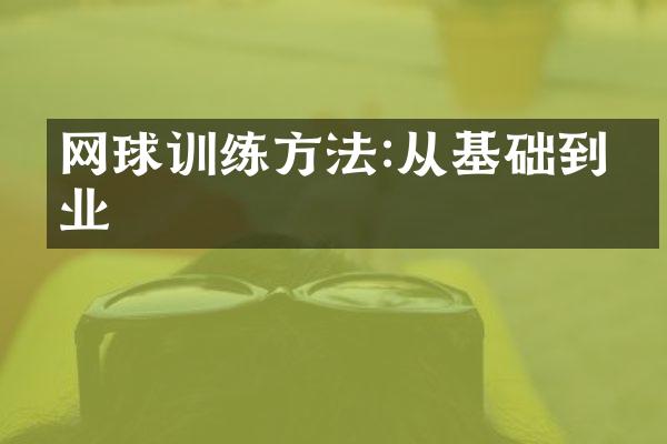 网球训练方法:从基础到专业