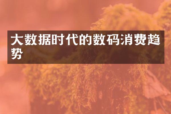 大数据时代的数码消费趋势