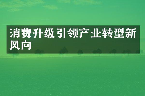 消费升级引领产业转型新风向