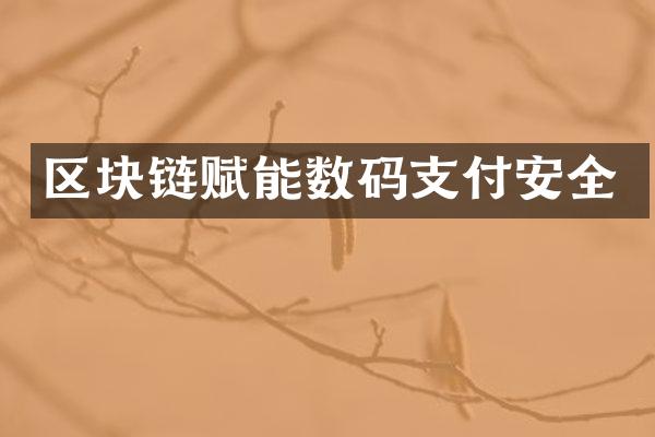 区块链赋能数码支付安全