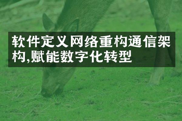 软件定义网络重构通信架构,赋能数字化转型