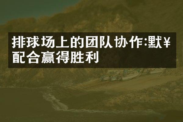 排球场上的团队协作:默契配合赢得胜利