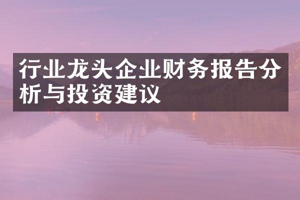 行业龙头企业财务报告分析与投资建议