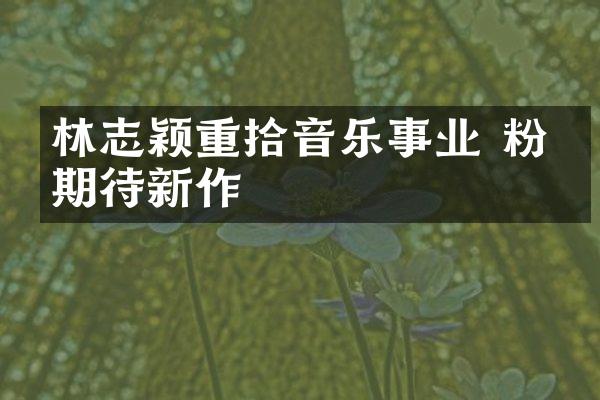 林志颖重拾音乐事业 粉丝期待新作