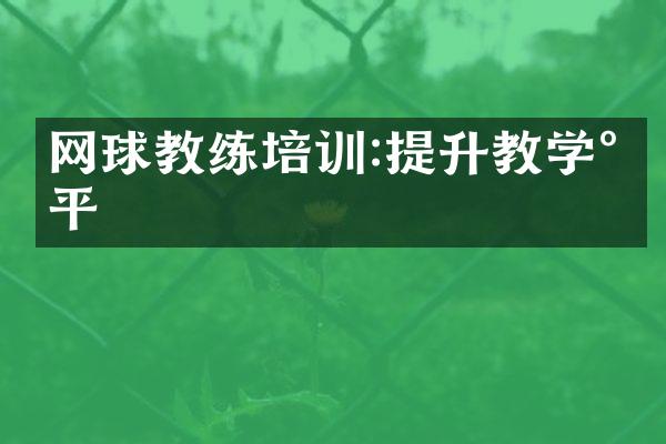 网球教练培训:提升教学水平