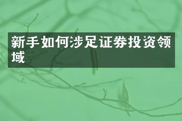 新手如何涉足证券投资领域