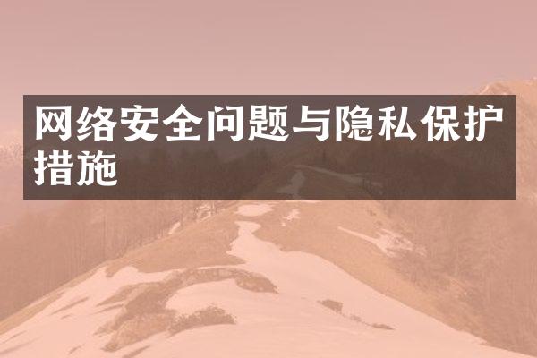 网络安全问题与隐私保护措施