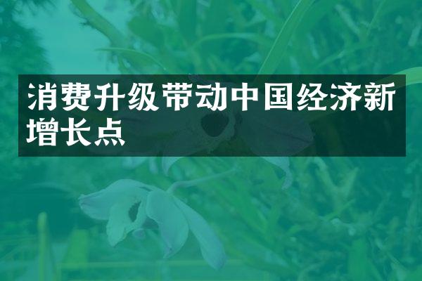 消费升级带动经济新增长点