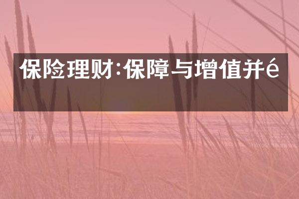 保险理财:保障与增值并重