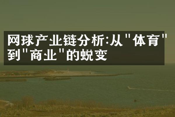 网球产业链分析:从"体育"到"商业"的蜕变