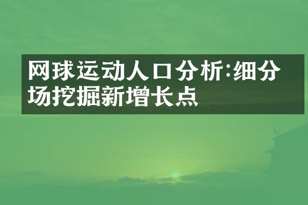 网球运动人口分析:细分市场挖掘新增长点