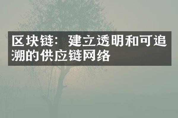 区块链：建立透明和可追溯的供应链网络