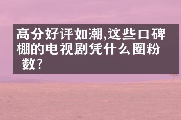 高分好评如潮,这些口碑爆棚的电视剧凭什么圈粉无数?