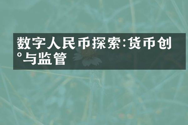 数字人民币探索:货币创新与监管