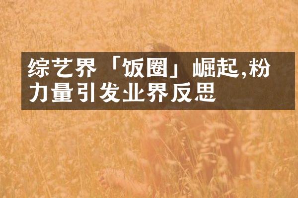 综艺界「饭圈」崛起,粉丝力量引发业界反思