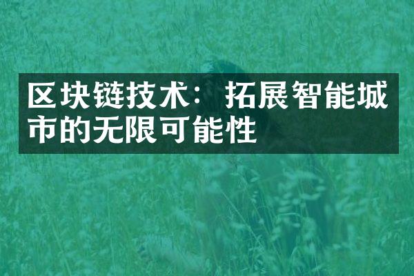 区块链技术：拓展智能城市的无限可能性