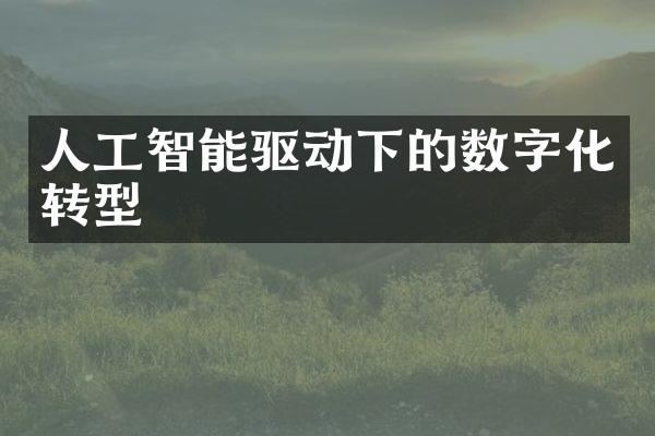 人工智能驱动下的数字化转型