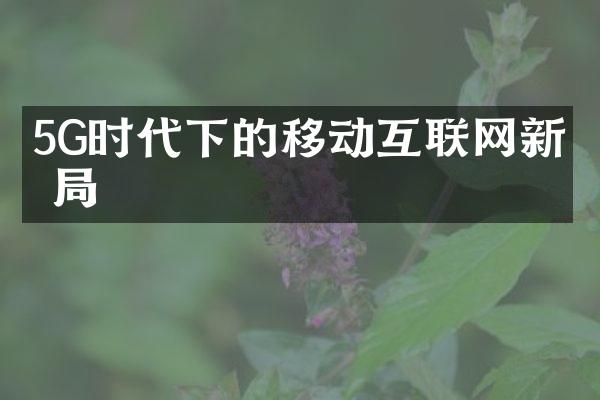 5G时代下的移动互联网新格局