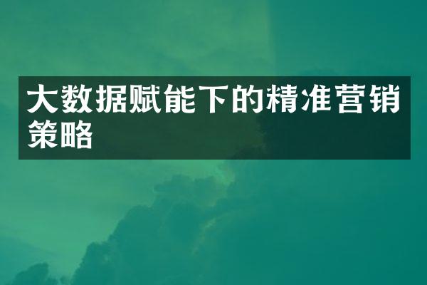 大数据赋能下的精准营销策略