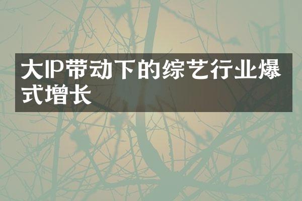 大IP带动下的综艺行业爆发式增长