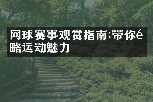 网球赛事观赏指南:带你领略运动魅力