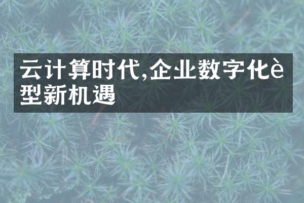 云计算时代,企业数字化转型新机遇