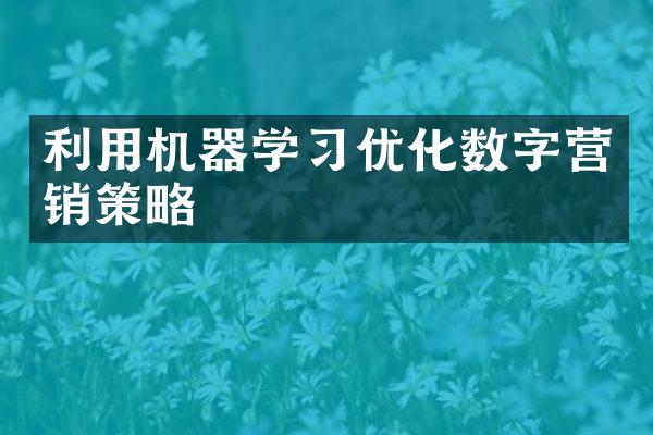 利用机器学习优化数字营销策略