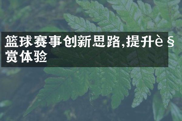 篮球赛事创新思路,提升观赏体验