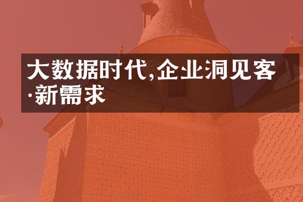 大数据时代,企业洞见客户新需求