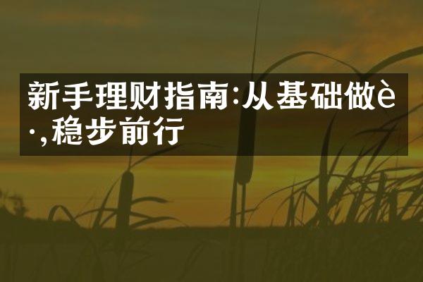 新手理财指南:从基础做起,稳步前行