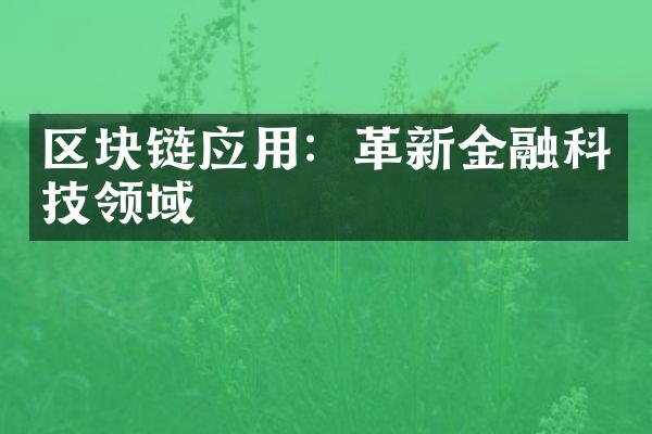 区块链应用：革新金融科技领域