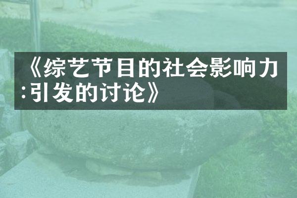 《综艺节目的社会影响力:引发的讨论》