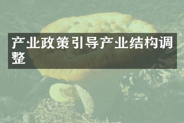 产业政策引导产业结构调整