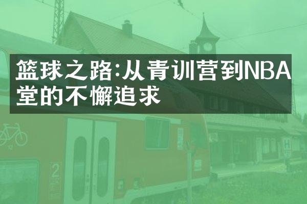 篮球之路:从青训营到NBA殿堂的不懈追求