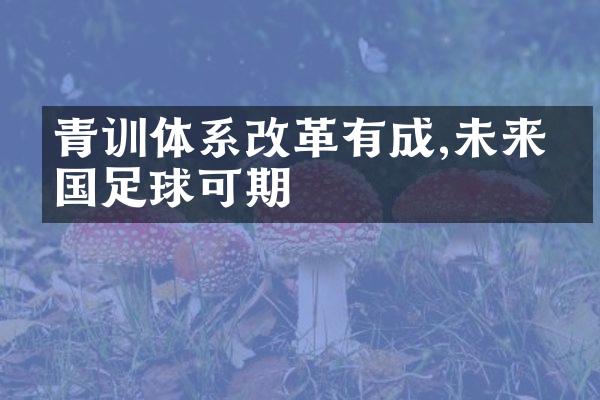 青训体系改革有成,未来中国足球可期