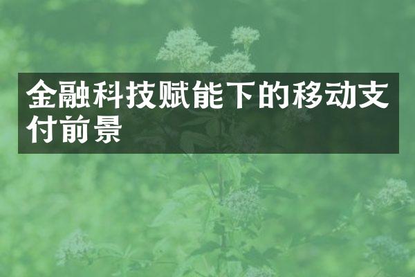 金融科技赋能下的移动支付前景